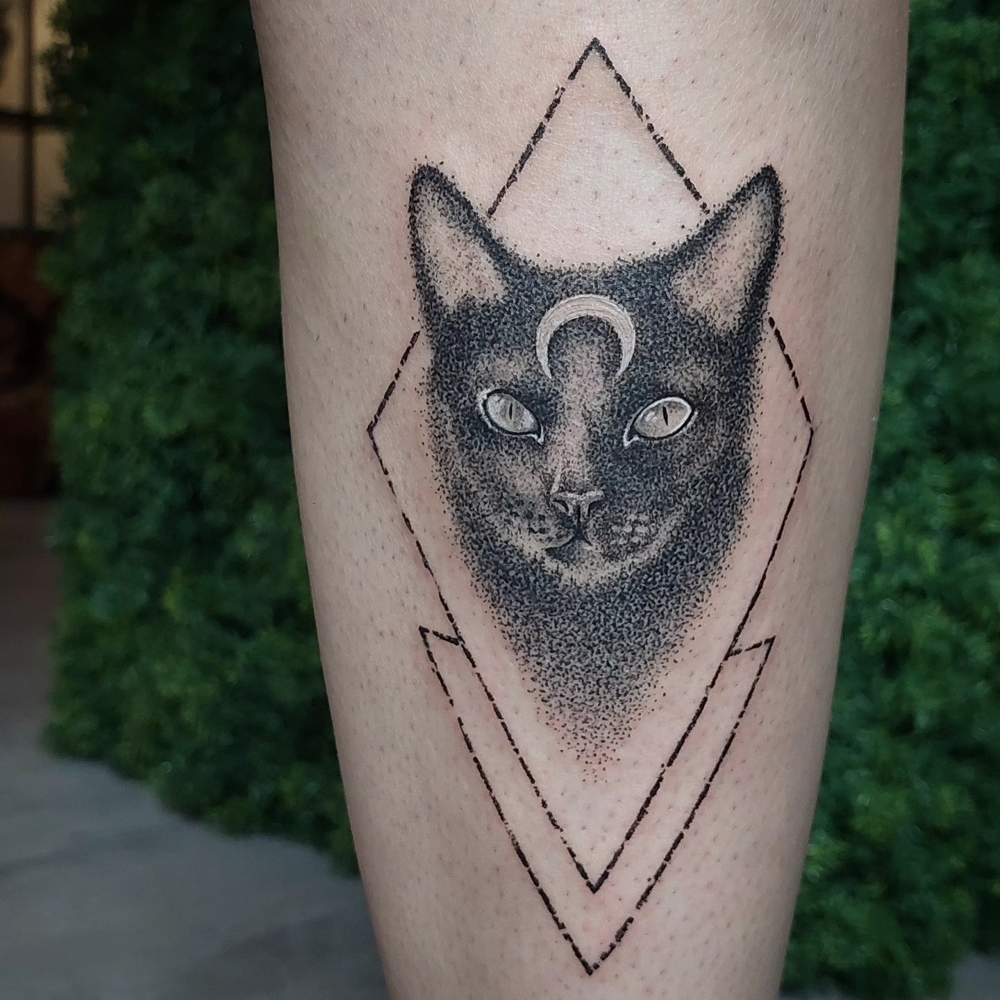 Dotwork kočka s půlměsícem v kosočtvercích